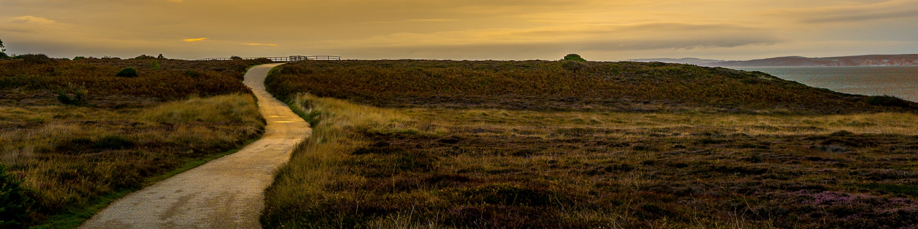 Waiting at Sunrise