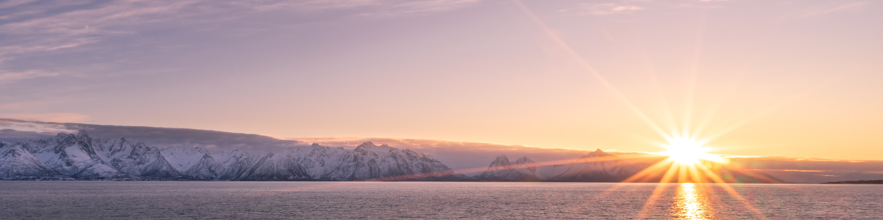 A Northern Winter Seal